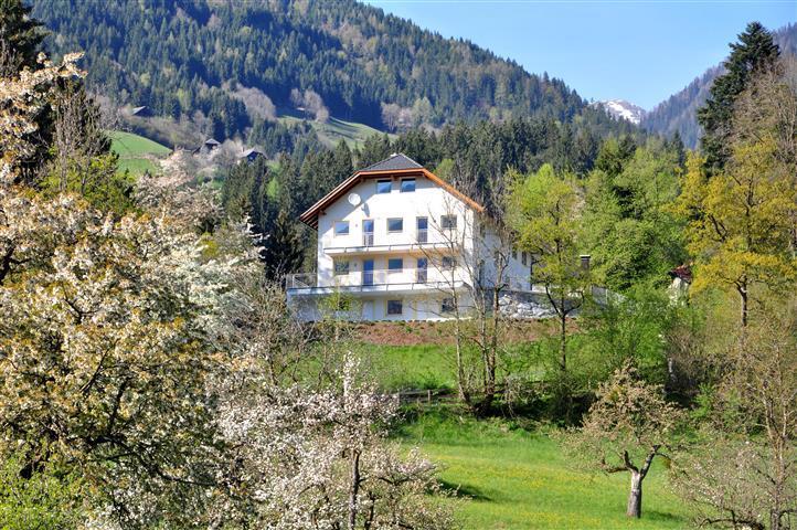 Haus Pflaum Apartment Dellach im Drautal ภายนอก รูปภาพ